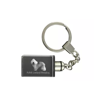 Polnischer Niederungshütehund, PON - Schlüsselanhänger aus Kristall mit Hundefoto, beleuchteter Schlüsselanhänger, einzigartiges Geschenk der Marke Art-Dog