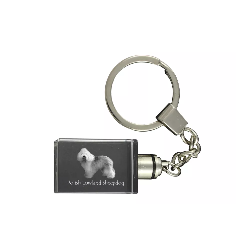 Polnischer Niederungshütehund, PON - Schlüsselanhänger aus Kristall mit Hundefoto, beleuchteter Schlüsselanhänger, einzigartiges Geschenk der Marke Art-Dog