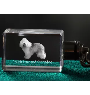 Berger polonais de plaine - Porte-clés en cristal avec photo de chien, porte-clés lumineux, cadeau unique de la marque Art-Dog