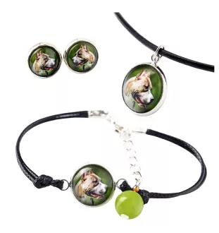 Pit Bull, American Pit Bull Terrier, Pitbull Terrier, APBT - a set of jewelry in a box, necklace, earrings, bracelet, products from the Art-Dog brand