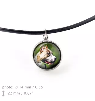 Pit Bull, American Pit Bull Terrier, Pitbull Terrier, APBT - a set of jewelry in a box, necklace, earrings, bracelet, products from the Art-Dog brand