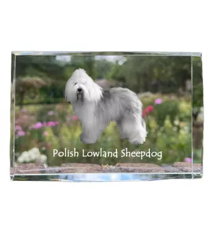 Polish Lowland Sheepdog, PON, Valee Sheepdog - crystal with a picture of a dog, photo in glass, modern exhibition of Art-Dog brand photo