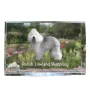 Polish Lowland Sheepdog, PON, Valee Sheepdog - crystal with a picture of a dog, photo in glass, modern exhibition of Art-Dog brand photo