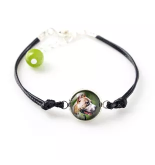 Pit Bull, American Pit Bull Terrier, Pitbull, APBT - Schmuckset in einer Schachtel, Halskette, Ohrringe, Armband, Produkte der Marke Art-Dog