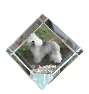 Polish Lowland Sheepdog, PON, Valee Sheepdog - crystal cube with a photo, photo of a horse in crystal, cubic paperweight from Art-Dog brand