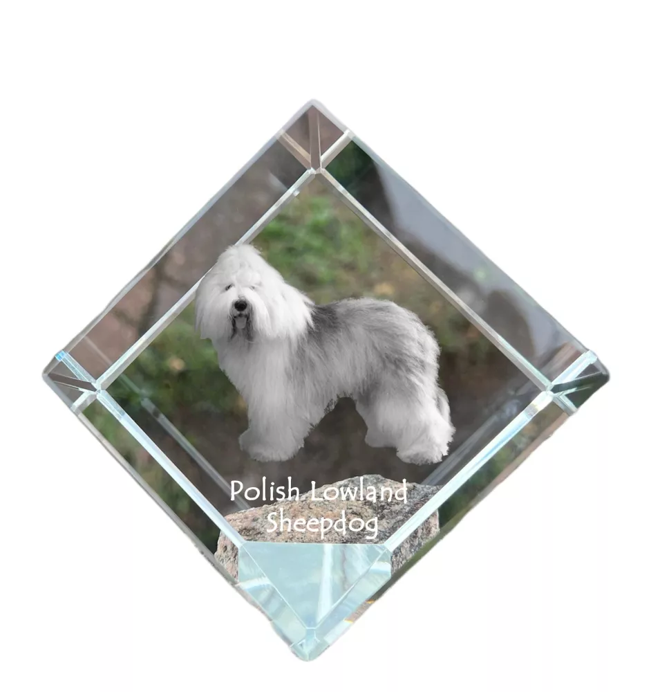 Polnischer Niederungshütehund, PON - Kristallwürfel mit Bild, Pferdebild im Kristall, sechseckiger Papierclip der Marke Art-Dog