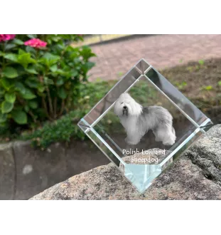 Polish Lowland Sheepdog, PON, Valee Sheepdog - crystal cube with a photo, photo of a horse in crystal, cubic paperweight from Art-Dog brand