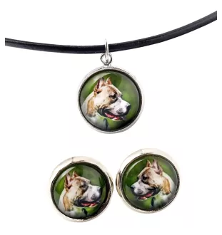 Pit Bull, American Pit Bull Terrier, Pitbull, APBT - boîte à bijoux avec votre photo, ensemble collier et boucles d'oreilles, produits personnalisés de la marque Art-Dog