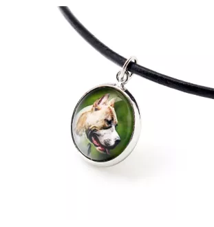 Pit Bull, American Pit Bull Terrier, Pitbull Terrier, APBT - a set of jewelry with your photo, handmade set, bracelet and necklace by Art.-Dog brand