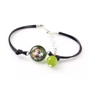 Pit Bull, American Pit Bull Terrier, Pitbull, APBT - Schmuckset mit Ihrem Foto, Schmuckstück für Frauen, handgefertigtes Produkt, handgefertigtes Produkt mit Leidenschaft für die Marke Art-Dog.