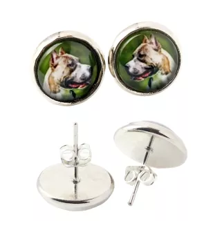 Pit Bull, American Pit Bull Terrier, Pitbull, APBT - Ohrringe in einer Schachtel, Ihr Foto, handgefertigter Schmuck, Eigenmarke von Art-Dog.