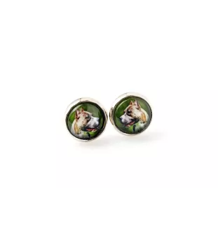 Pit Bull, American Pit Bull Terrier, Pitbull, APBT - boucles d'oreilles dans une boîte, votre photo, bijoux faits à la main, produit de la marque Art-Dog.