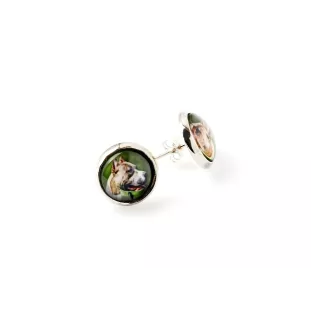 Pit Bull, American Pit Bull Terrier, Pitbull, APBT - boucles d'oreilles dans une boîte, votre photo, bijoux faits à la main, produit de la marque Art-Dog.