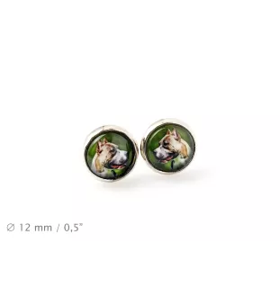 Pit Bull, American Pit Bull Terrier, Pitbull, APBT - boucles d'oreilles dans une boîte, votre photo, bijoux faits à la main, produit de la marque Art-Dog.