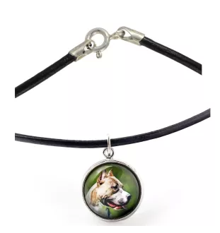 Pitbull, Pit Bull naszyjnik w pudełku ze zdjęciem Art-Dog