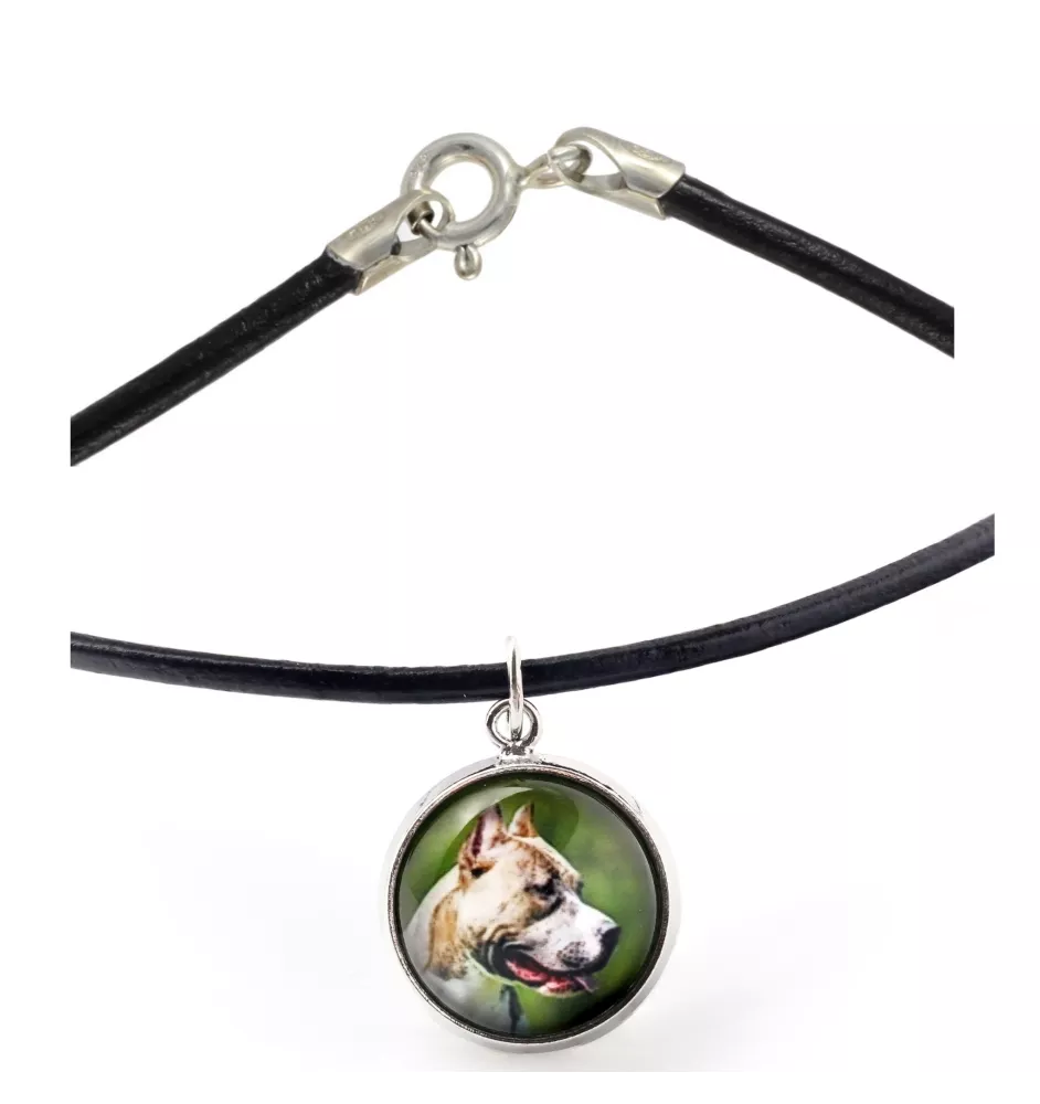 Pitbull, Pit Bull naszyjnik w pudełku ze zdjęciem Art-Dog