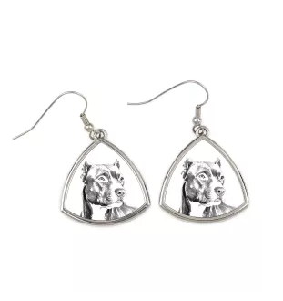 Pit Bull, American Pit Bull Terrier, Pitbull, APBT - boucles d'oreilles avec chien, boucles d'oreilles pendantes avec photo, bijoux personnalisés avec impression de la marque Art-Dog