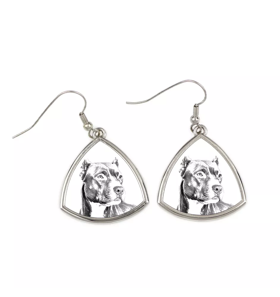 Pit Bull, American Pit Bull Terrier, Pitbull, APBT - boucles d'oreilles avec chien, boucles d'oreilles pendantes avec photo, bijoux personnalisés avec impression de la marque Art-Dog