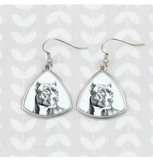 Pit Bull, American Pit Bull Terrier, Pitbull, APBT - boucles d'oreilles avec chien, boucles d'oreilles pendantes avec photo, bijoux personnalisés avec impression de la marque Art-Dog