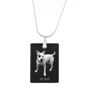 Pit Bull, American Pit Bull Terrier, Pitbull, APBT - Pendentif en cristal avec chien, collier en argent avec photo, pendentif personnalisé par la marque Art-Dog