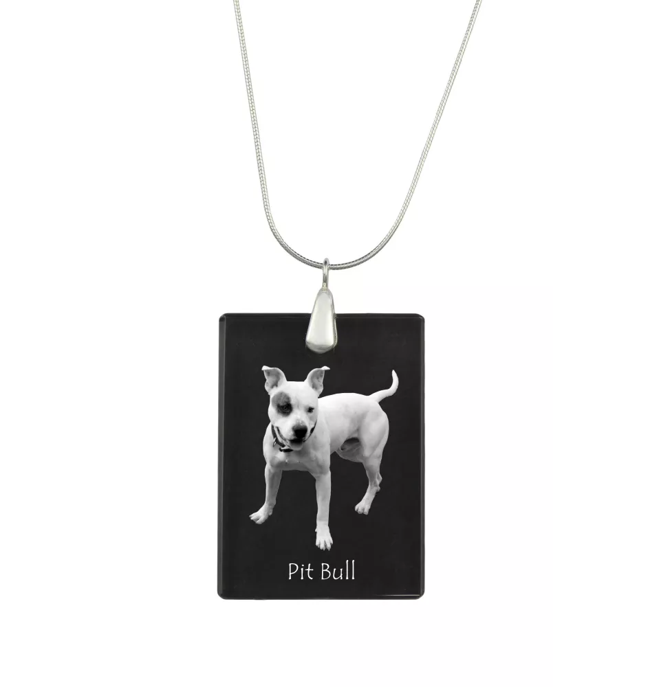 Pit Bull, American Pit Bull Terrier, Pitbull Terrier, APBT - Crystal pendant with dog, silver necklace with photo, personalised pendant by Art-Dog brand