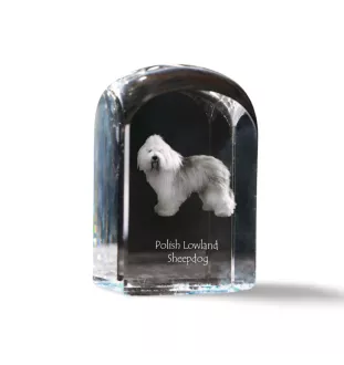 Polish Lowland Sheepdog, PON, Valee Sheepdog - crystal cube with a photo, photo of a dog in crystal, cubic paperweight from Art-Dog brand