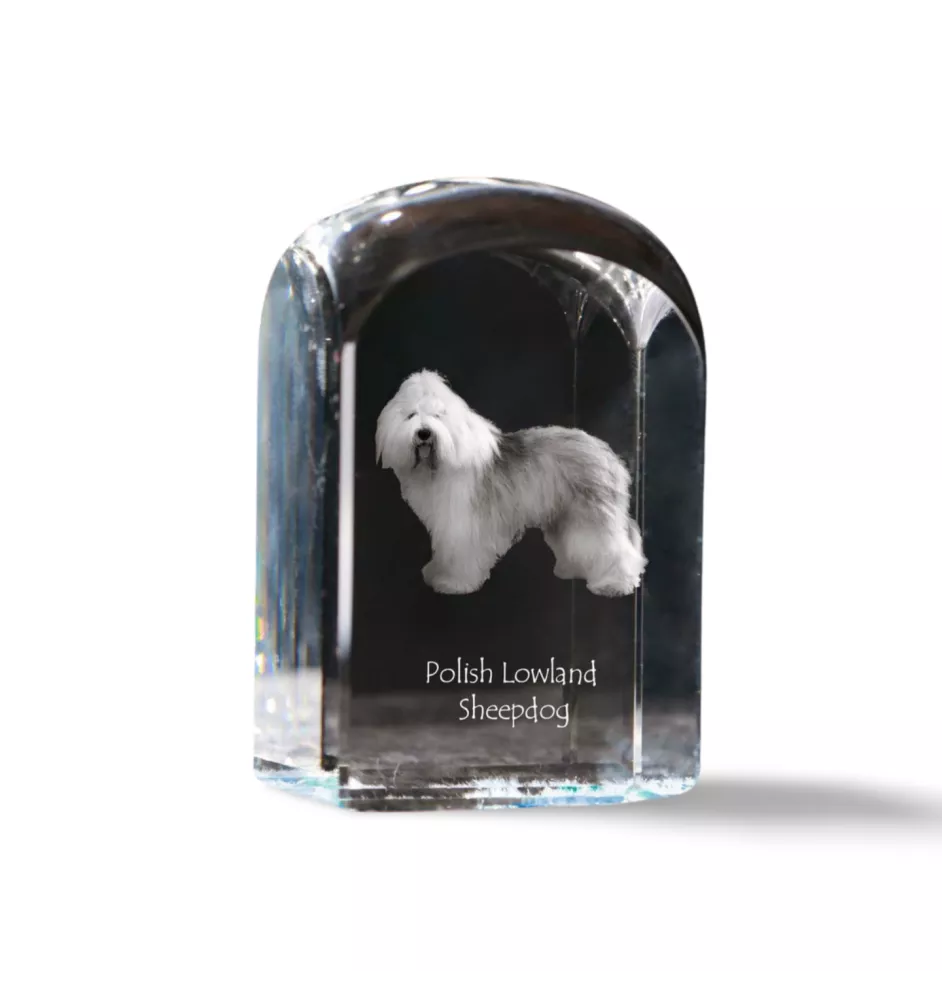 Polnischer Niederungshütehund, PON - Kristallwürfel mit Bild, Hundebild im Kristall, sechseckiger Papierclip von Art-Dog.