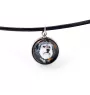 Polish Lowland Sheepdog, PON, Valee Sheepdog - a set of jewelry with your photo, handmade set, bracelet and necklace by Art.-Dog brand