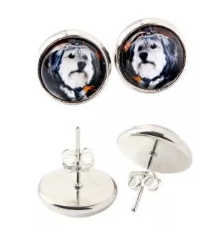 Polnischer Niederungshütehund, PON - Ohrringe in einer Schachtel, Ihr Foto, handgefertigter Schmuck, Eigenmarke von Art-Dog.