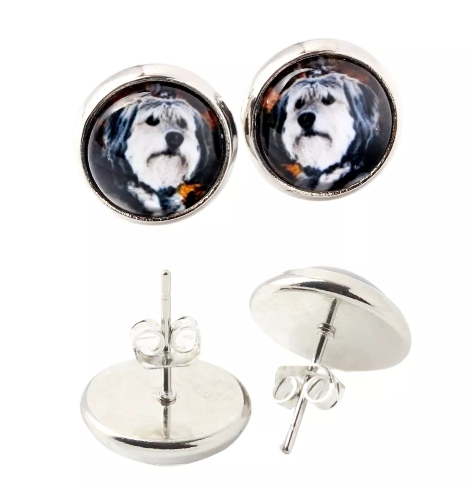 Polnischer Niederungshütehund, PON - Ohrringe in einer Schachtel, Ihr Foto, handgefertigter Schmuck, Eigenmarke von Art-Dog.