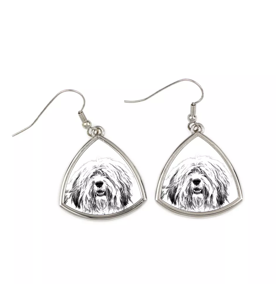 Polish Lowland Sheepdog, PON, Valee Sheepdog - dog earrings, hanging earrings with a picture, personalized jewelry with Art-Dog brand print