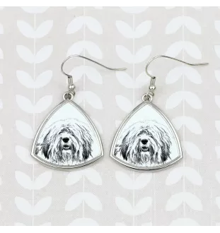 Polish Lowland Sheepdog, PON, Valee Sheepdog - dog earrings, hanging earrings with a picture, personalized jewelry with Art-Dog brand print