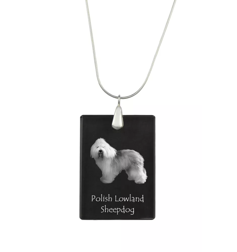 Berger polonais de plaine - Pendentif en cristal avec chien, collier en argent avec photo, pendentif personnalisé par la marque Art-Dog