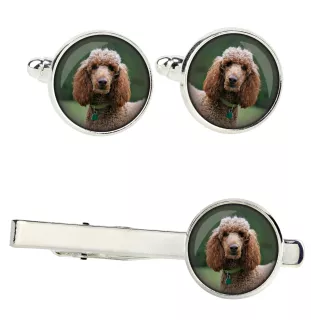 Pudel zestaw spinek w pudełku ze zdjęciem Art-Dog