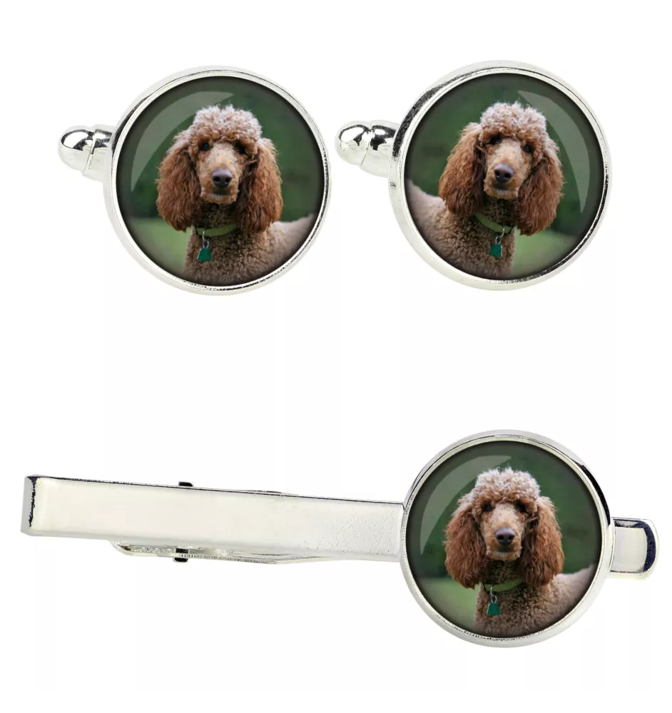 Poodle - cufflinks and tie with your photo, a suit decoration, men's jewelry from the Art-Dog brand.