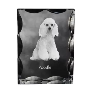 Caniche - cristal avec photo de chien, statuette en verre avec photo, cadre exceptionnel avec photo de la marque Art-Dog