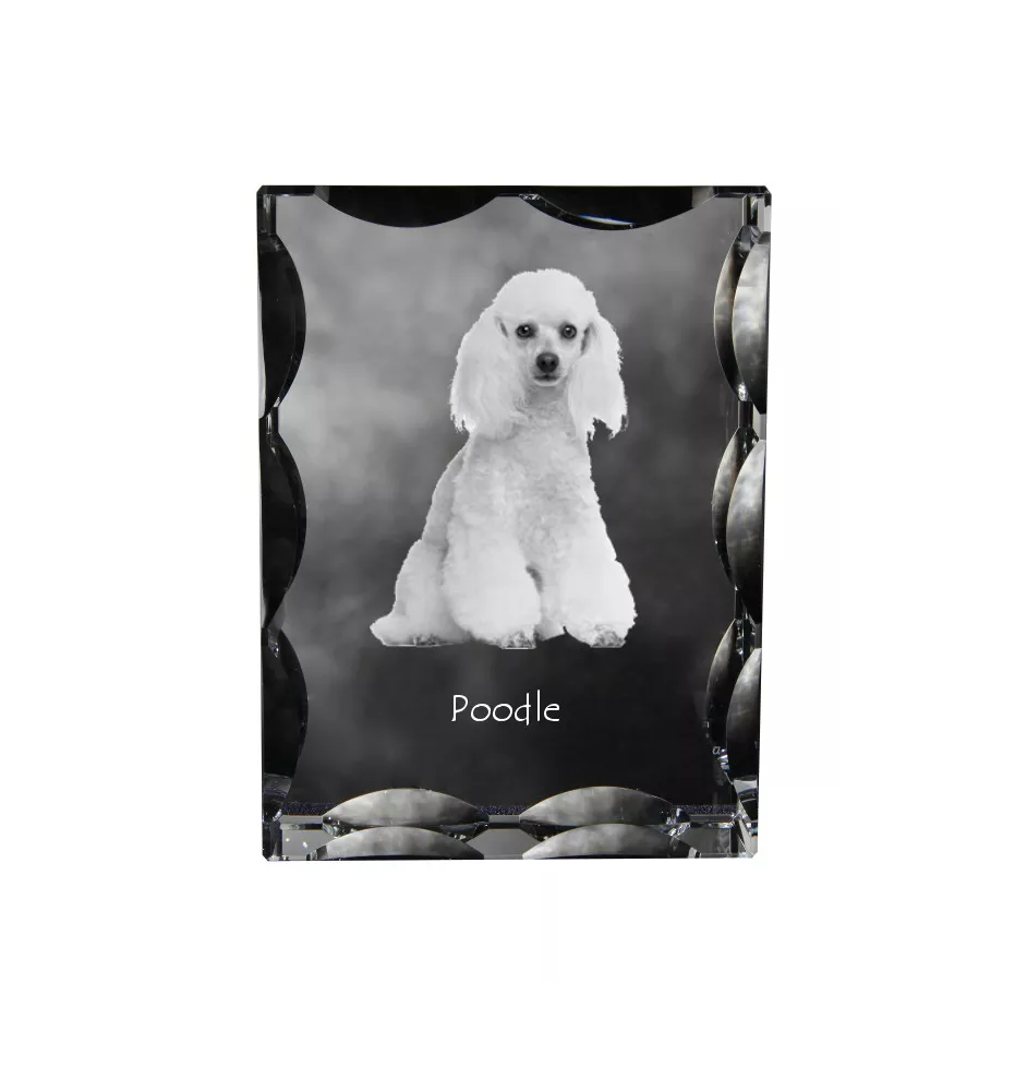 Caniche - cristal avec photo de chien, statuette en verre avec photo, cadre exceptionnel avec photo de la marque Art-Dog