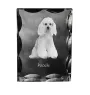 Pudel - Kristall mit einem Hundebild, Glasstatuette mit einem Bild, einzigartiger Bilderrahmen der Marke Art-Dog