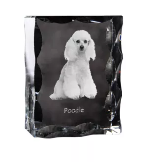 Caniche - cristal avec photo de chien, statuette en verre avec photo, cadre exceptionnel avec photo de la marque Art-Dog