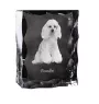 Pudel - Kristall mit einem Hundebild, Glasstatuette mit einem Bild, einzigartiger Bilderrahmen der Marke Art-Dog