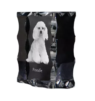 Caniche - cristal avec photo de chien, statuette en verre avec photo, cadre exceptionnel avec photo de la marque Art-Dog
