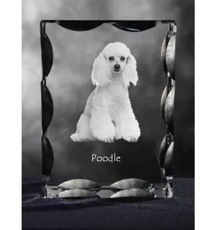 Caniche - cristal avec photo de chien, statuette en verre avec photo, cadre exceptionnel avec photo de la marque Art-Dog