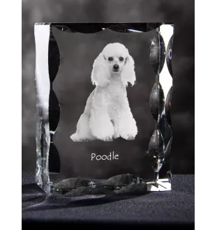 Pudel - Kristall mit einem Hundebild, Glasstatuette mit einem Bild, einzigartiger Bilderrahmen der Marke Art-Dog