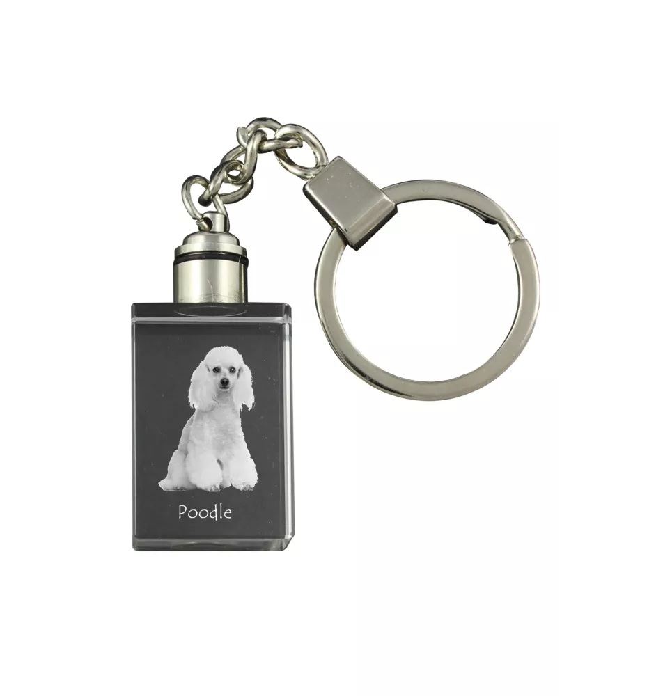 Pudel - Schlüsselanhänger aus Kristall mit Hundefoto, beleuchteter Schlüsselanhänger, einzigartiges Geschenk der Marke Art-Dog