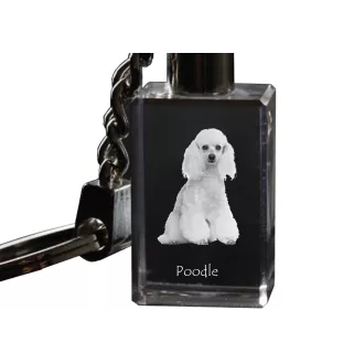 Pudel - Schlüsselanhänger aus Kristall mit Hundefoto, beleuchteter Schlüsselanhänger, einzigartiges Geschenk der Marke Art-Dog