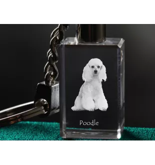 Pudel - Schlüsselanhänger aus Kristall mit Hundefoto, beleuchteter Schlüsselanhänger, einzigartiges Geschenk der Marke Art-Dog