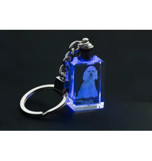 Pudel - Schlüsselanhänger aus Kristall mit Hundefoto, beleuchteter Schlüsselanhänger, einzigartiges Geschenk der Marke Art-Dog