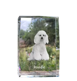 Pudel kryształ z psem Art-Dog