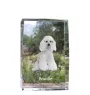 Poodle - crystal with a picture of a dog, photo in glass, modern exhibition of Art-Dog brand photo