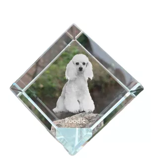 Pudel kostka kryształowa z psem Art-Dog